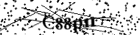 請輸入下列字母