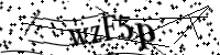 請輸入下列字母