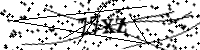 請輸入下列字母