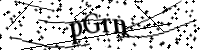 請輸入下列字母