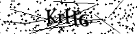 請輸入下列字母