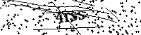 請輸入下列字母