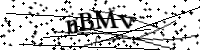 請輸入下列字母