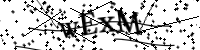 請輸入下列字母