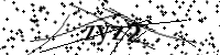 請輸入下列字母