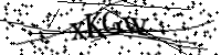 請輸入下列字母