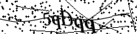 請輸入下列字母