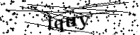 請輸入下列字母