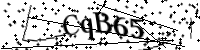 請輸入下列字母