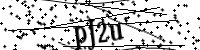 請輸入下列字母