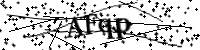 請輸入下列字母