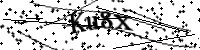 請輸入下列字母