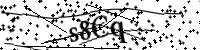 請輸入下列字母