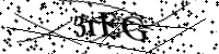 請輸入下列字母