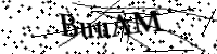 請輸入下列字母