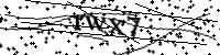 請輸入下列字母