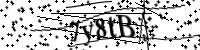 請輸入下列字母
