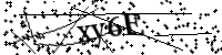 請輸入下列字母