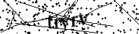 請輸入下列字母