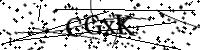 請輸入下列字母