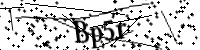 請輸入下列字母