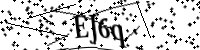 請輸入下列字母