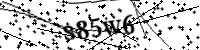 請輸入下列字母