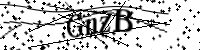 請輸入下列字母
