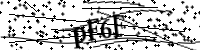 請輸入下列字母