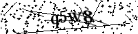 Please type the letters below