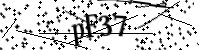 請輸入下列字母