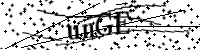 請輸入下列字母
