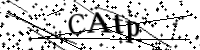 請輸入下列字母