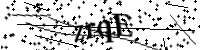 請輸入下列字母