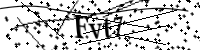 請輸入下列字母