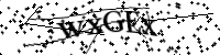 請輸入下列字母