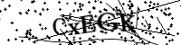 請輸入下列字母