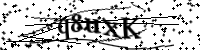 請輸入下列字母