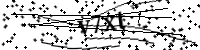 請輸入下列字母