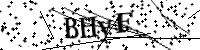 請輸入下列字母