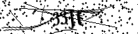請輸入下列字母