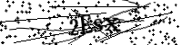 請輸入下列字母