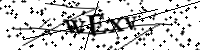 請輸入下列字母