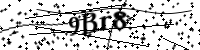 請輸入下列字母