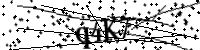 請輸入下列字母