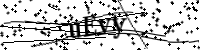 請輸入下列字母