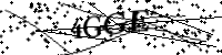 請輸入下列字母
