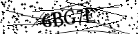 請輸入下列字母