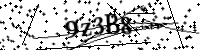 請輸入下列字母