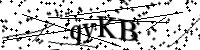 請輸入下列字母
